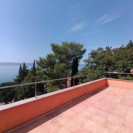 Blue Seagull - Seafront