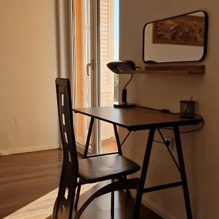 Blue Seagull - Seafront