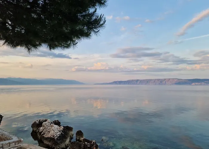 Blue Seagull - Seafront